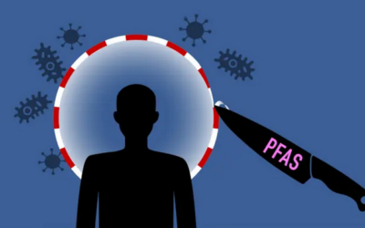 PFAS schwächt Impfschutz bei Kindern dramatisch