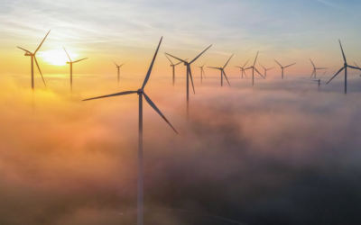 Von diesen grünen Dogmen müssen wir uns befreien